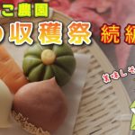 【猫と和菓子】練り切り『秋の野菜』の作り方を紹介【続編】!そっくりスイーツ!