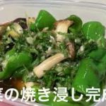 【楽チン作り置き!おかずいっぱいお弁当】1時間でできちゃう簡単レシピ