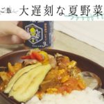 【vlog】20代女子の晩ご飯/夏野菜カレーを作った日の動画〈簡単レシピ〉