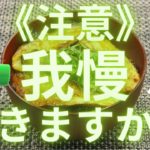 【10日目】料理初心者が「なすバタしょうゆ丼」を作ってみた。