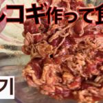 男飯！キングサイズのプルコギ丼　43歳一般男性の胃の許容量とは？飯テロ/レシピ