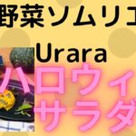 Uraraのハロウィンサラダ　完全レシピ❣️❣️  ＃野菜ソムリエ＃ハロウィンメニュー＃カボチャサラダ