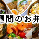【お弁当】一週間のお弁当。レシピ付き/毎朝白けた目でお弁当を見つめる猫【bento】【猫動画】