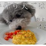 【手作り犬ごはん】野菜たっぷりオムレツを作ってみた！