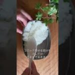 牛肉コロッケのお弁当の詰め方