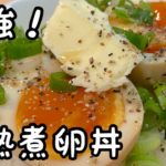 半熟煮卵を作ったら絶品の煮卵丼ができました【作り方解説あり】