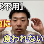 【農薬不要】虫に食われない野菜の作り方