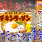 インスタントラーメンアレンジレシピ【マル秘ダシ！！？】