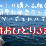 [無職]  ニトリ購入品紹介/簡単お弁当ランチ/ポタージュにハマる/鶏胸肉レシピ/一人暮らしアラフィフ/ぼっち飯/節約生活