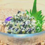 【15品目】薬味好きのみなさまへ。なすのなめろうの作り方