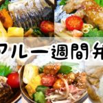 【お弁当作り】1週間のリアルお弁当日記(レシピ付き)/弁当横に無表情で寄り添う猫【bento】