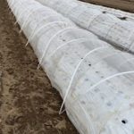 野菜の防寒対策　ビニールトンネルの作り方【実践編】20/11/6