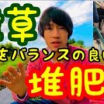 【野菜が喜ぶ】雑草堆肥・肥料の作り方『家庭菜園や畑の野菜におすすめ』