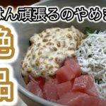 【時短レシピ】料理が下手でも美味しくできる！絶品マグロ丼