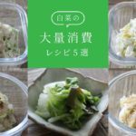 【お弁当/作り置き】白菜の大量消費に!5分以内に出来る白菜レシピ5選