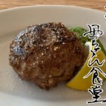 【作り置きおかず】お弁当にもおすすめ 塩ハンバーグ#017