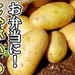【お弁当おかず】じゃがいも1つで作れるレシピ5選 忙しい朝でも簡単に作れるジャガイモ料理の作り方!時短レシピやボリュームたっぷりメニューが悪魔的にウマい
