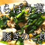 【伝統野菜】のらぼう菜 レシピ　のらぼう菜豚きのこ炒め　[Traditional vegetables] Stir-fried Norabou greens pork mushrooms