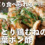 さっぱり副菜！「しっとり鶏むねの梅大葉ポン酢」を作ってみました