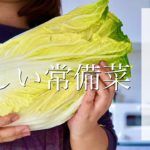【発酵野菜】美味しくて体に優しい♪旨味たっぷり発酵白菜【常備菜】【白菜レシピ】