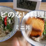 【レシピのない料理動画】お昼ご飯 のミニ丼