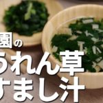 保育園の「ほうれん草のすまし汁」の作り方【あおいの給食室レシピ】