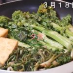 【レシピのない料理動画】お弁当 / 菜の花、厚揚げの茶色いお弁当