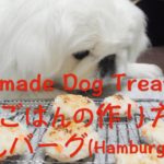 犬ごはん簡単レシピ#2 〜お米と鶏ひき肉のわんバーグ〜