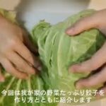 ダイエットに最適✨我が家の野菜たっぷり餃子|Aska’s Vlog