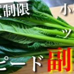 【レンジでサッと作れる低糖質な副菜♬】糖質量は０.９g！「小松菜とツナ缶のスピード小鉢」の作り方【糖質制限レシピ】