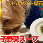 【愛犬手作りご飯】ストルバイト結石を撃退!毒素排出「鶏団子野菜スープ」