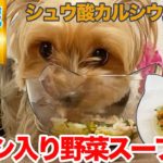 【愛犬手作りご飯】シュウ酸カルシウム撃退！利尿促進「イワシ入り野菜スープ」