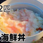 【究極のキャンプ飯の作り方】は釣れたて真鯛で作る【土鍋海鮮丼！】