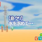【あつ森】雑談メインの島クリ・レシピ配布とか･･･