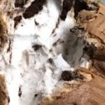 簡単本格人気雲パン（ココアマーブル雲パン）レシピ・作り方(オンライン料理教室)