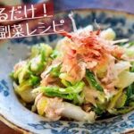 白菜とツナのマヨポン和え 白菜料理 【副菜 簡単レシピ 時短 節約 和えるだけ】