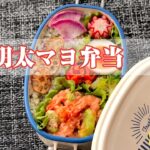 《お弁当作り》エビ明太マヨ弁当〜青のりご飯他