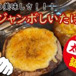 【超高級野菜シリーズ】肉厚!ジャンボしいたけがめちゃくちゃ美味しかった!