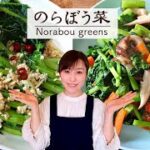 伝統野菜 のらぼう菜の最も美味しい中華レシピ2選—-栄養満点で美味しさUP! #のらぼう菜#スマート中華