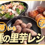 【里芋レシピ】3種の里芋レシピ~親いも、子いも、孫いも〜