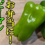 【お弁当おかず】簡単ピーマンレシピ6選！電子レンジで5分以内にできるピーマン好きにたまらない料理の作り方【旦那弁当】【毎日弁当】