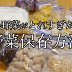 野菜 保存方法 我が家の備蓄食材 Vegetable preservation method: Ingredients stockpiled at home