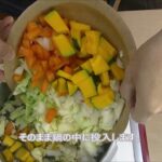 ハーバード大学式野菜スープの作り方