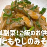 豚肉ともやしのみそ炒めの作り方・レシピ 簡単副菜!ご飯にかけてもおいしいよ!