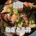 超簡単【ねぎとろ丼】の作り方