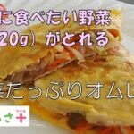 野菜たっぷりオムレツ