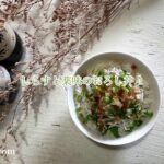 しらすと薬味のおろし丼♪