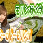 【グルテンフリーガトーモリンガ】混ぜて焼くだけ簡単レシピ！キヌアで作る【健康モリンガスイーツ】