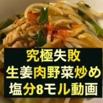 生姜肉野菜炒め #生姜#豚こま#袋野菜#納豆#鰹だし#モル#失敗レシピ#究極失敗