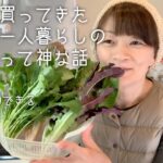 フレンチドレッシグのレシピ付き！ 農園で購入した野菜 一人暮らしにちょうどいい 100円野菜[50代] [休職中] [日常]